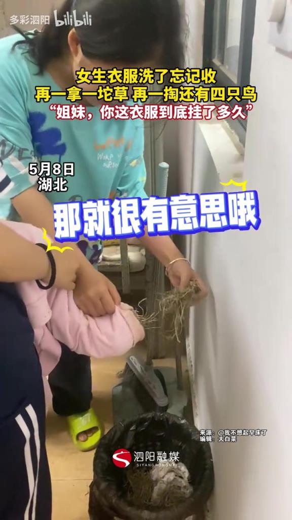 女生衣服洗了忘記收，再一拿一坨草，再一掏還有四只鳥