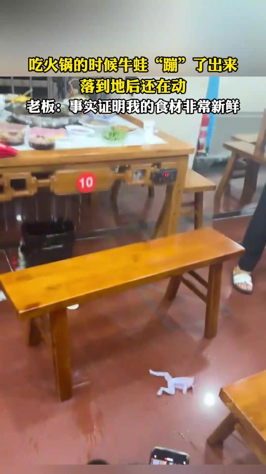 吃火锅的时候牛蛙“蹦”了出来，落到地后还在动
