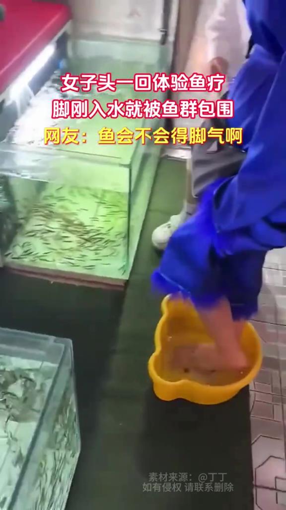 女子頭一回體驗魚療 腳剛入水就被魚群包圍