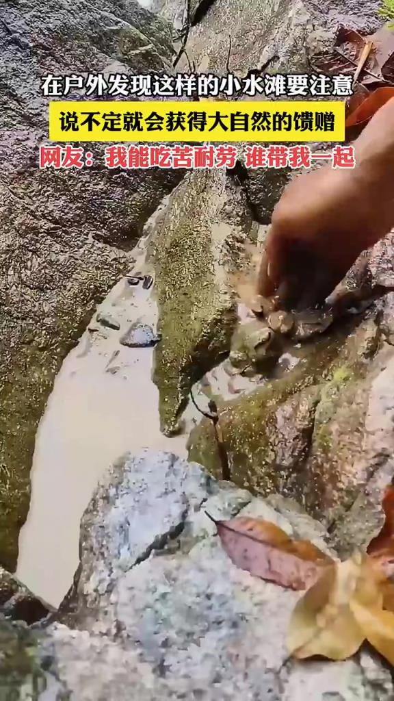 戶外小水灘藏驚喜，或獲自然饋贈