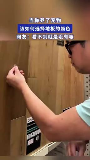 當(dāng)你養(yǎng)了寵物，該如何選擇地板的顏色