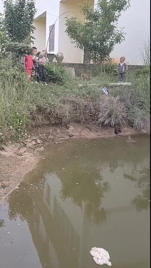 新手保护期吗？