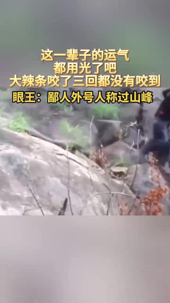 我第一次見到蛇追著人咬的??！