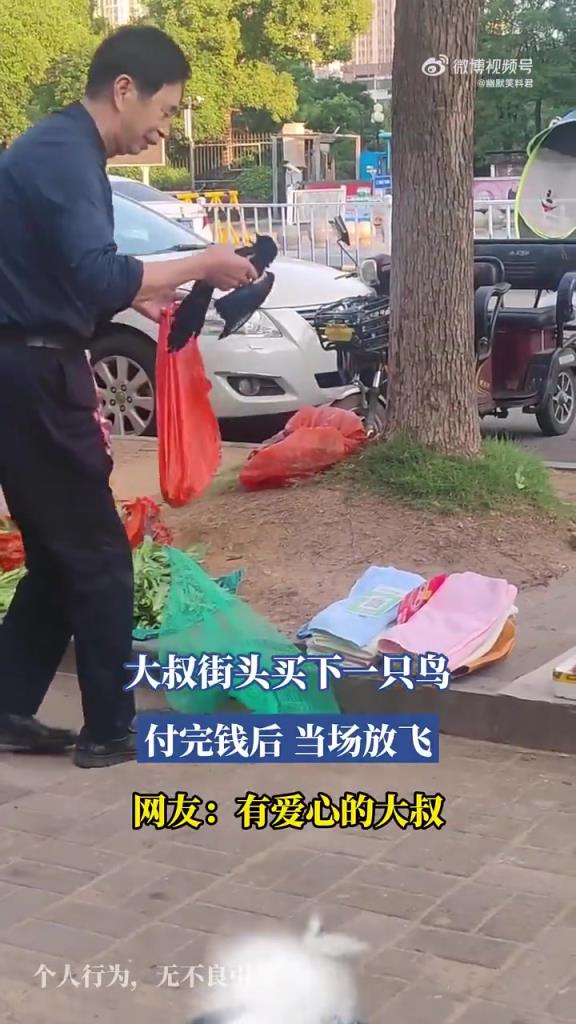大叔街头买下一只鸟，付完钱后当场放飞