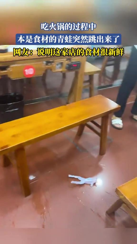 吃火鍋的過程中 本是食材的青蛙突然跳出來了