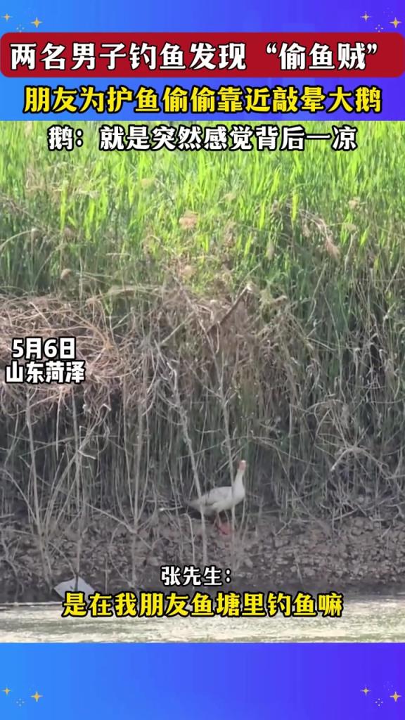 鵝：就是突然感覺背后一涼！