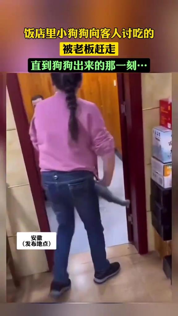 當(dāng)時看到第一眼，還蠻心疼狗狗的 吃都不讓吃。直到狗狗出現(xiàn)……