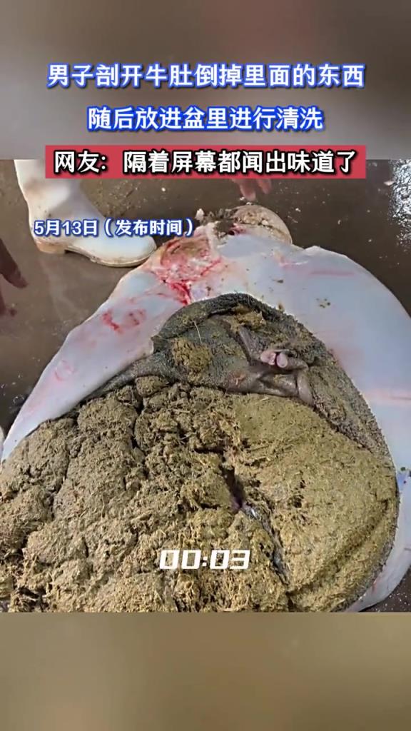 男子剖開牛肚倒掉里面的東西,隨后放進(jìn)盆里進(jìn)行清洗!!