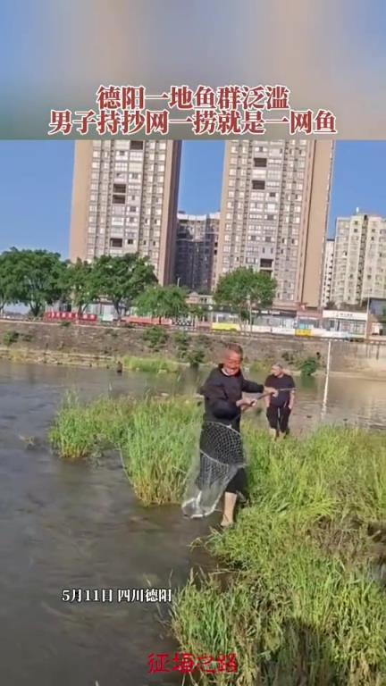 河道魚群泛濫男子一撈就是一網(wǎng)魚 笑得合不攏嘴