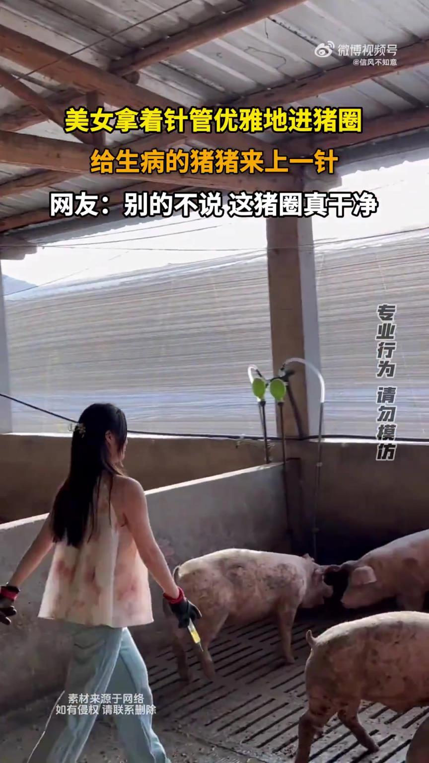 美女拿著針管優(yōu)雅地進(jìn)豬圈，給生病的豬豬來(lái)上一針?。? title=