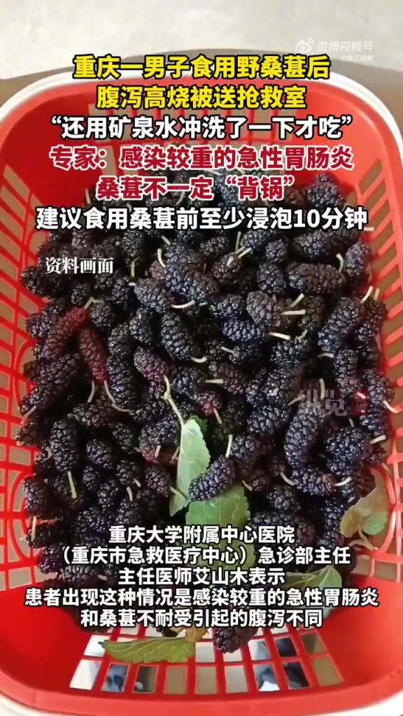专家：野外桑葚食用需谨慎