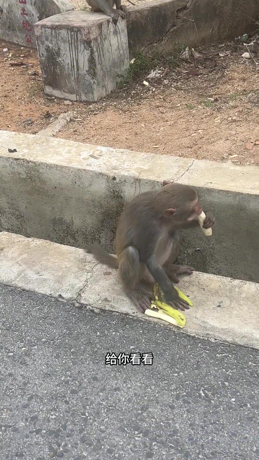 没开玩笑吧？它真听得懂讲话？！