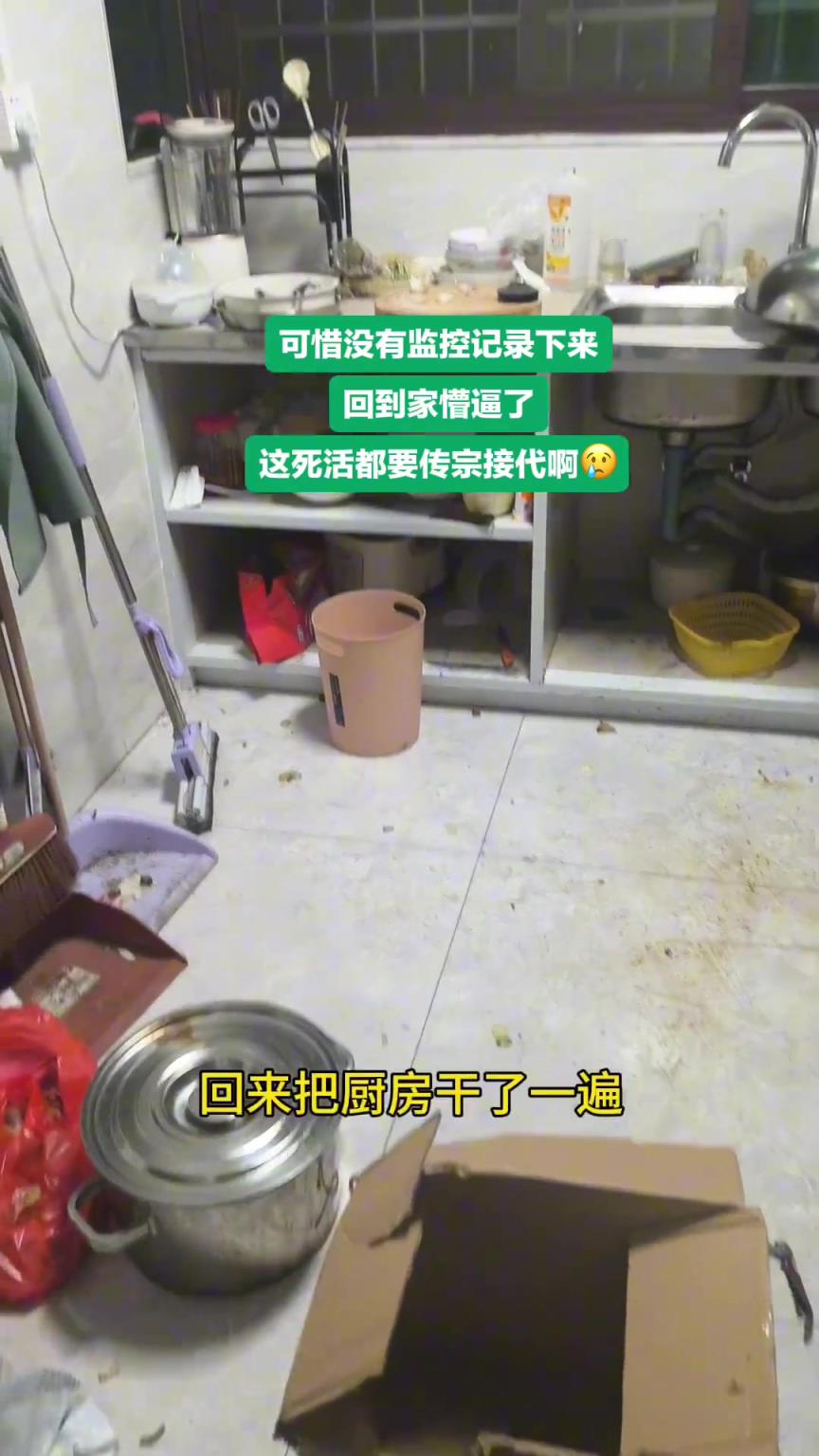雞掙脫了繩從紙箱飛出來，把廚房翻個底朝天?。? title=