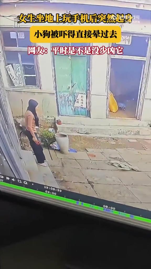 女生坐地上玩手機后突然起身，小狗被嚇得直接暈過去！