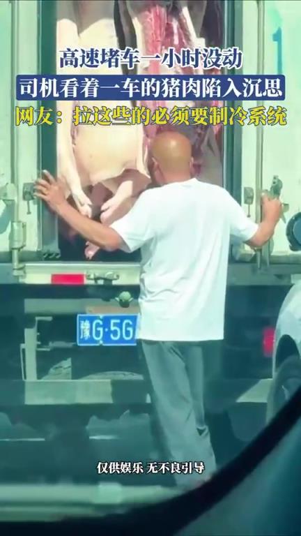 高速堵车一小时没动，司机看着一车的猪肉陷入沉思