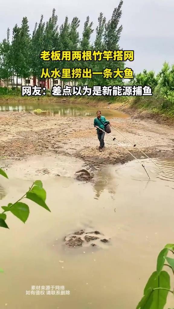 老板用竹竿搭网，成功捞出大鱼
