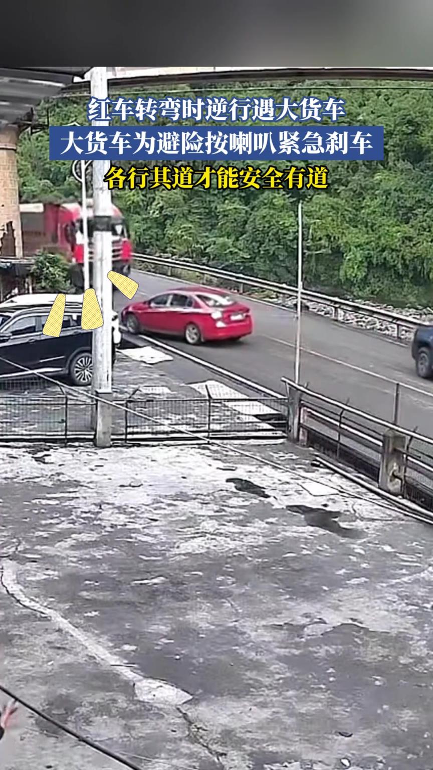 红车转弯时逆行遇大货车，大货车为避险按喇叭紧急刹车