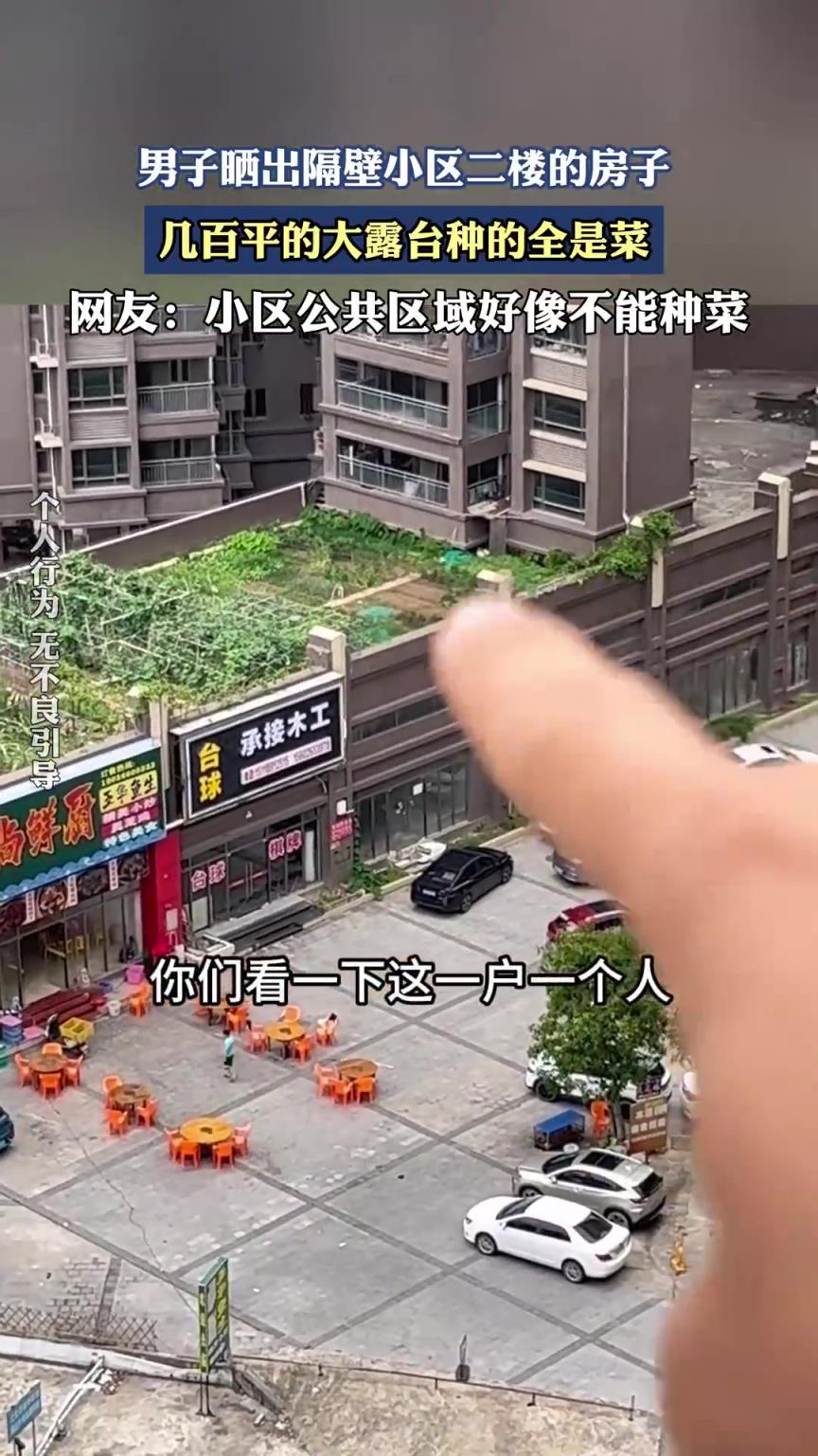 男子晒出隔壁小区二楼的房子，几百平的大露台种的全是菜