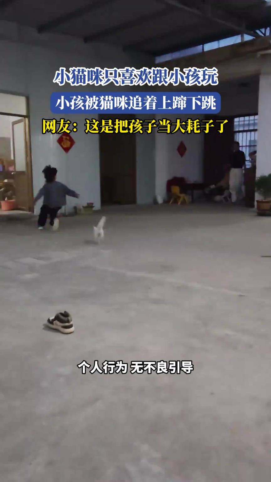 小猫咪只喜欢跟小孩玩，小孩被猫咪追着上蹿下跳