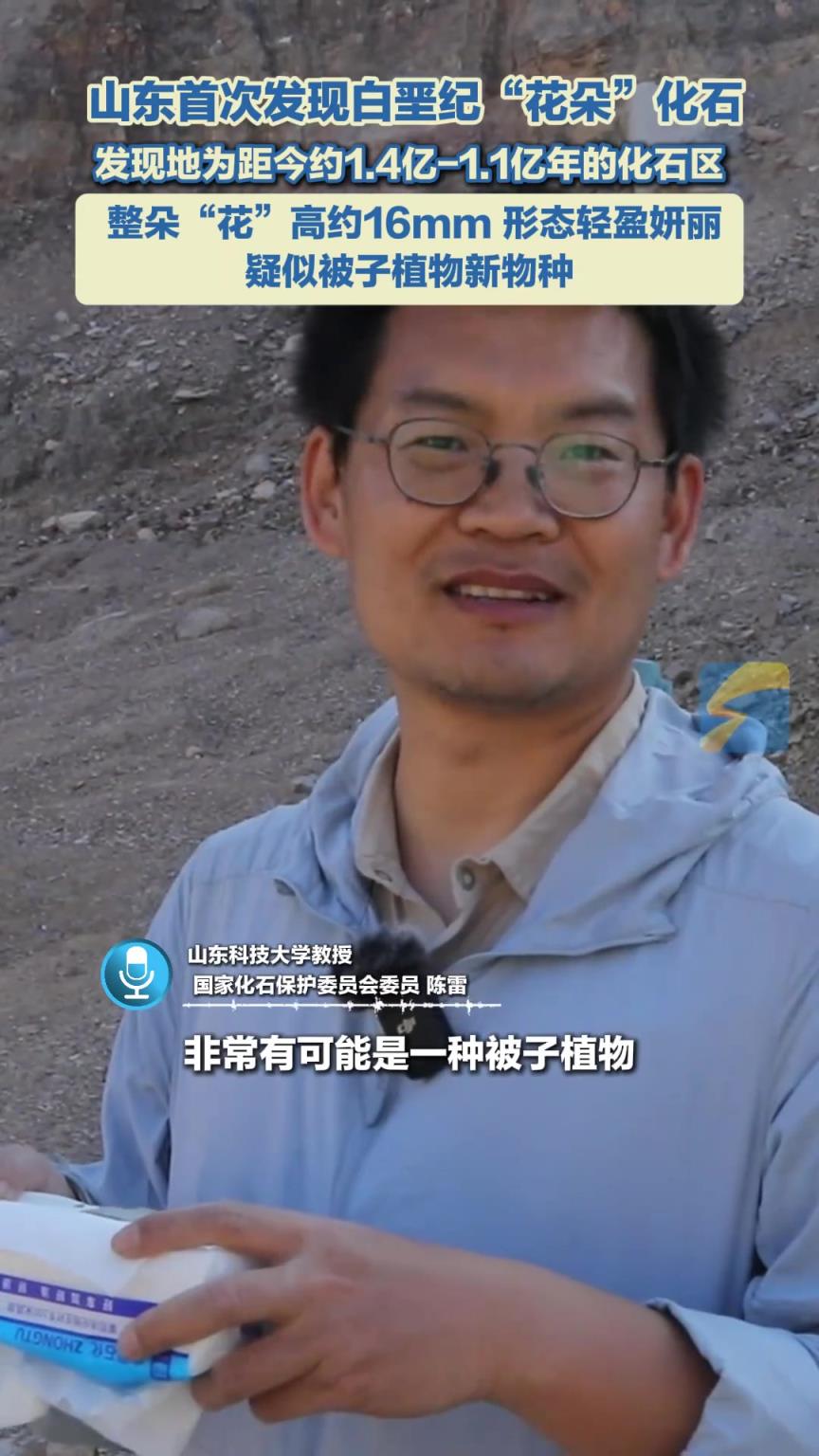 山东首次发现白垩纪“花朵”化石