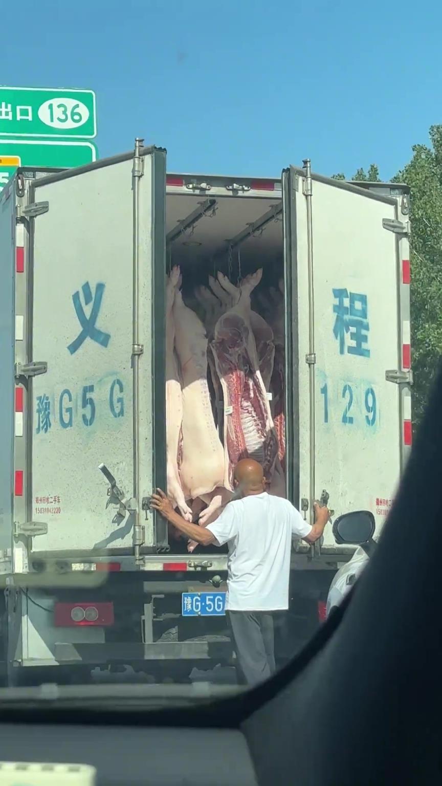 高速堵车，一个小时一动不动，大哥下来看看自己的猪