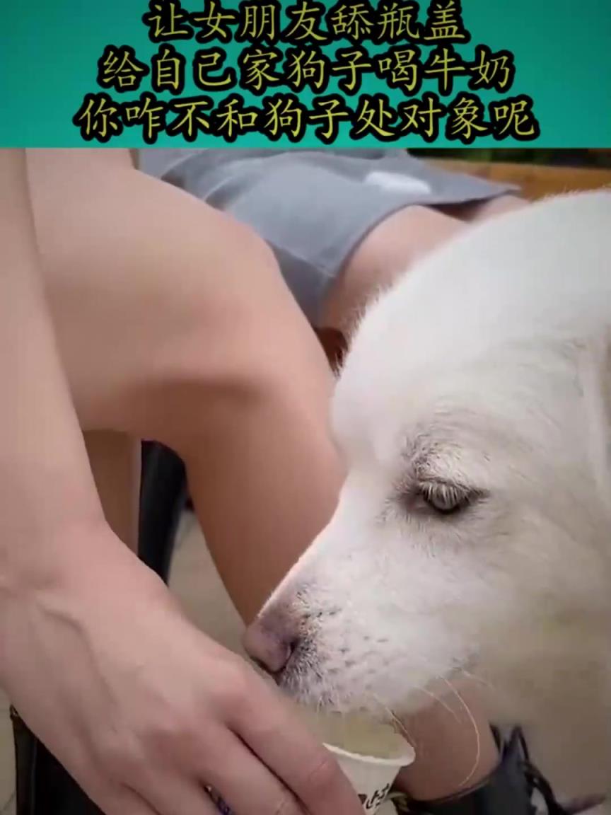 這就是你讓女朋友舔奶蓋的理由？