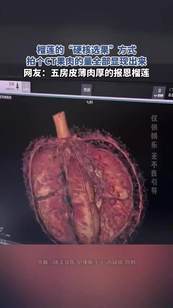 榴莲的硬核选果方式