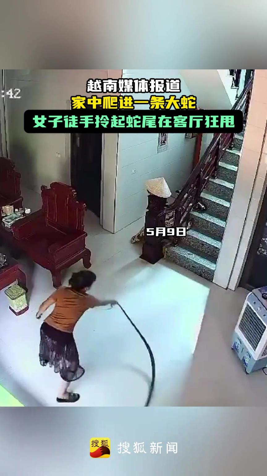 家中爬进一条大蛇 女子拎起蛇尾狂甩“制服”
