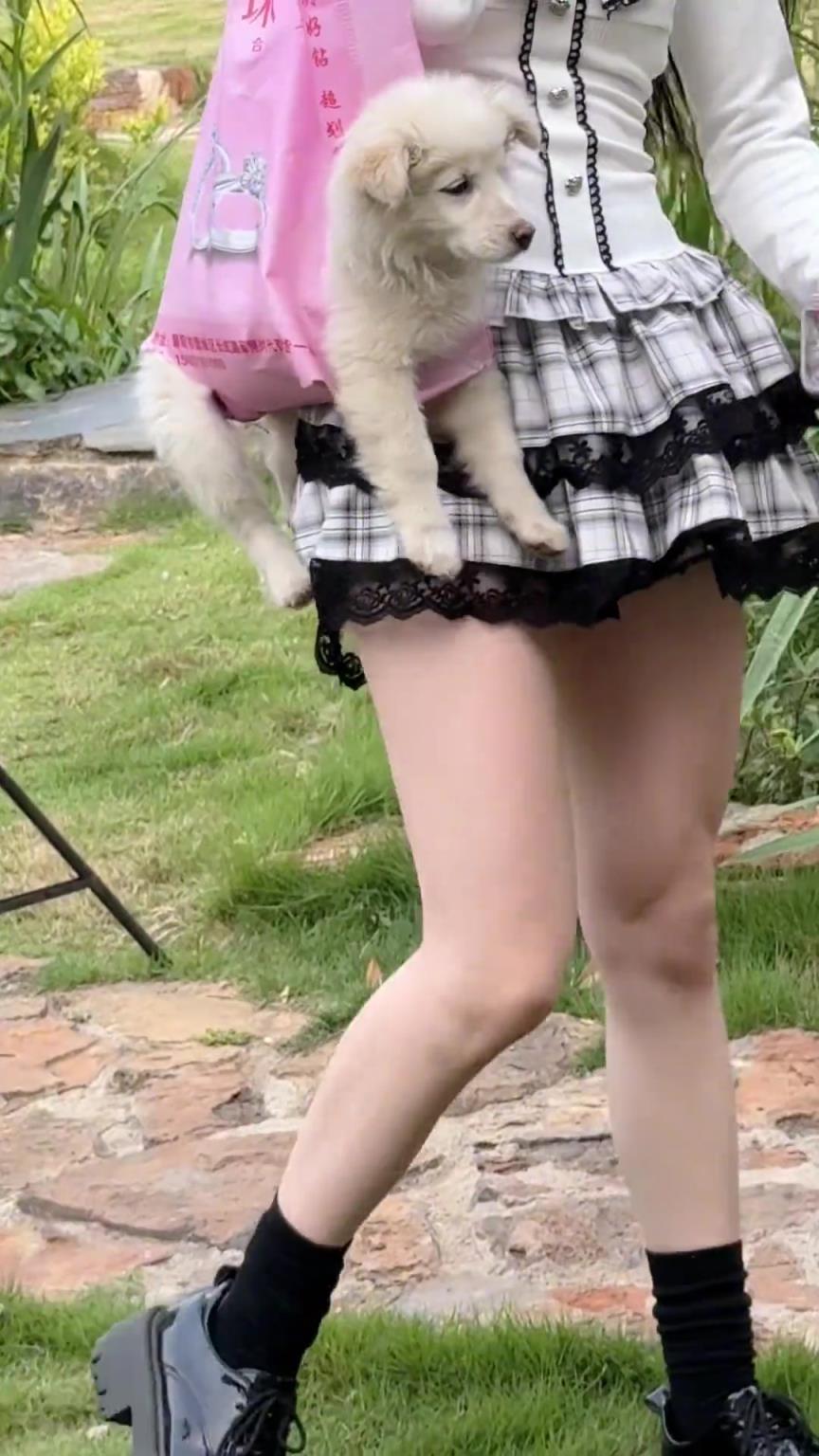 女生遛狗都是这样的吗？狗子遭罪了！！