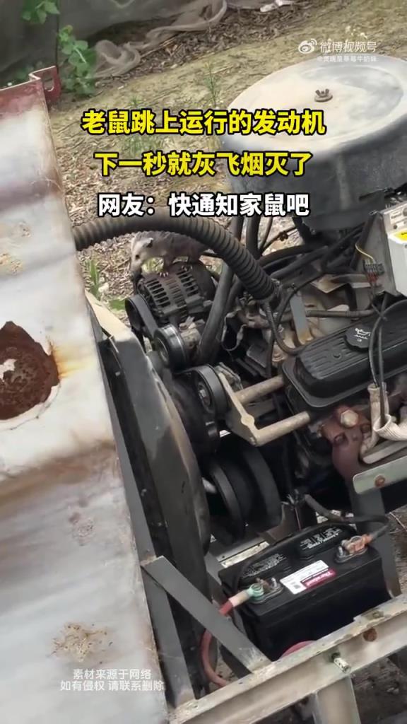 老鼠跳上运行的发动机，下一秒就灰飞烟灭了