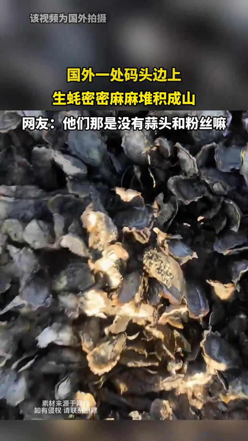 国外一处码头边上，生蚝密密麻麻堆积成山