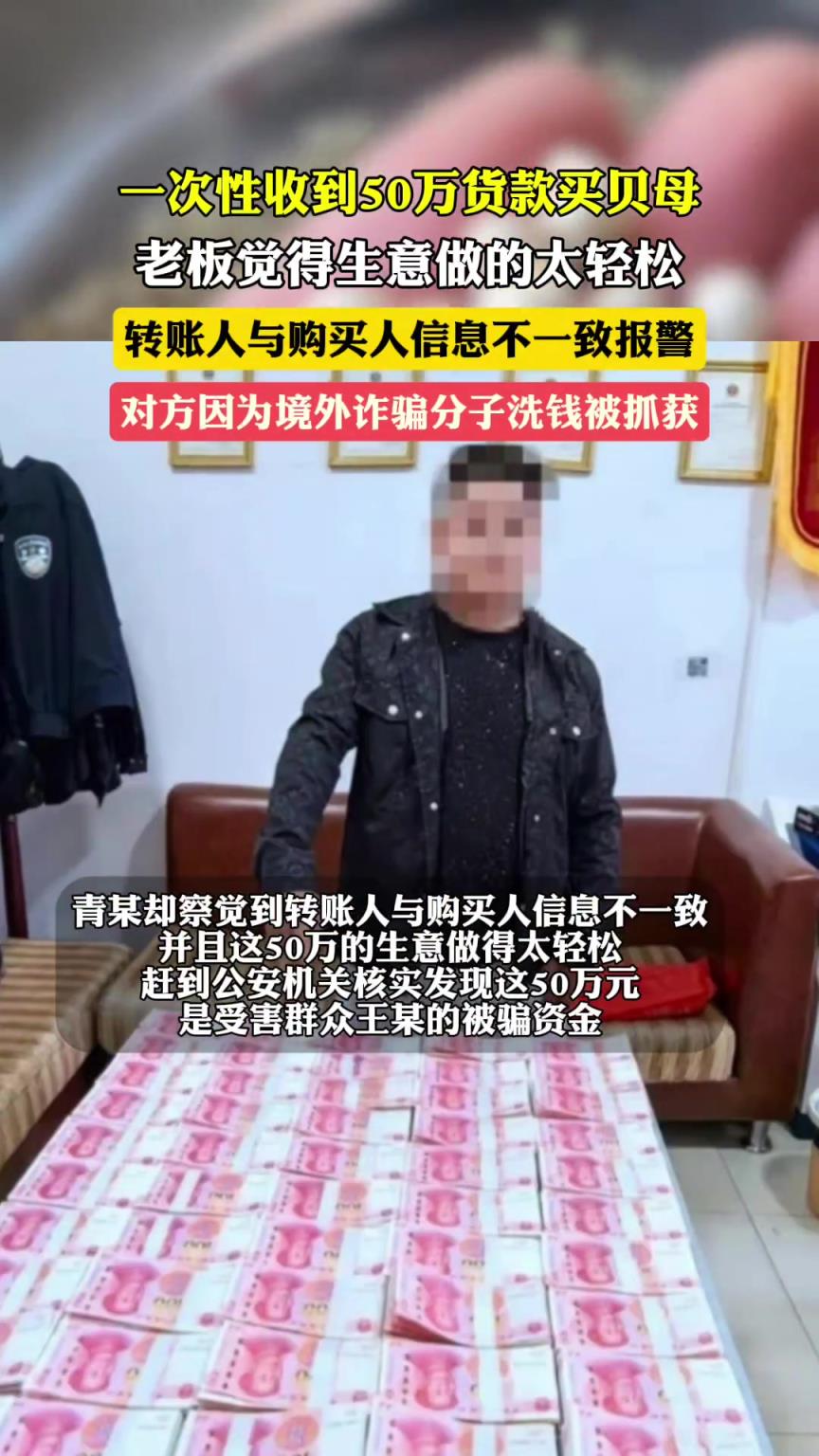 一次性收到50万货款买贝母，老板觉得生意做的太轻松报警