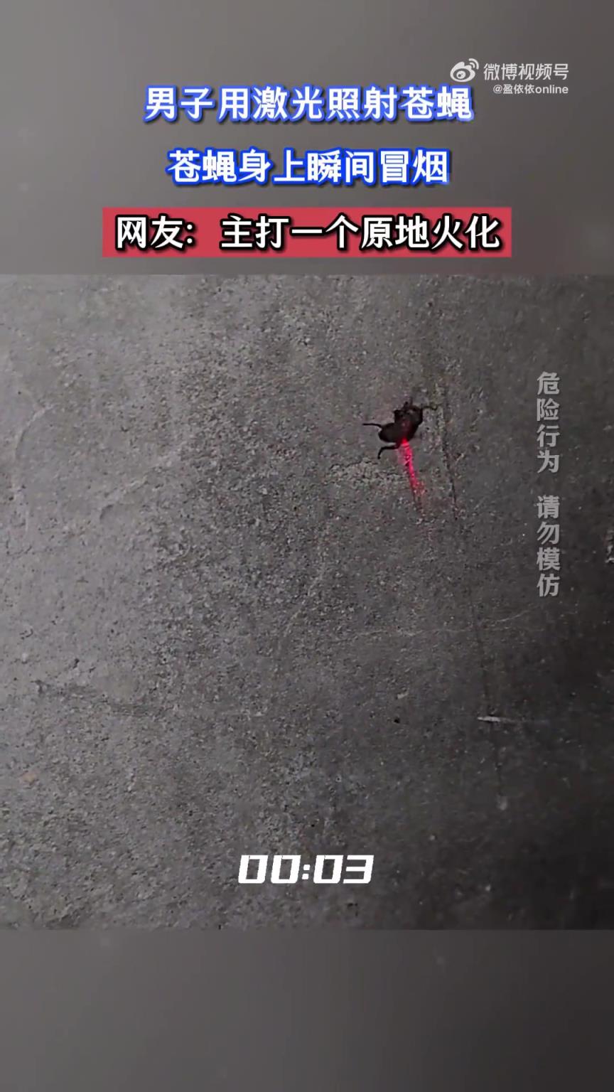 男子用激光照射苍蝇，苍蝇身上瞬间冒烟，网友：主打一个原地火化