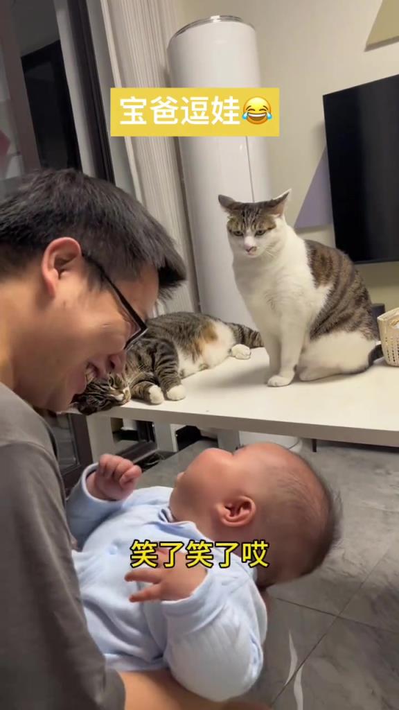 猫：你在跟我叫什么？