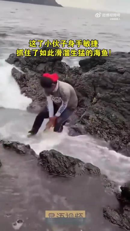 小伙子身手敏捷，居然抓住了如此滑溜生猛的海鱼！