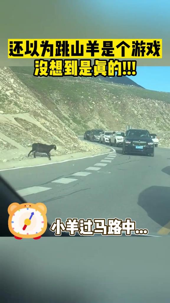 还以为跳山羊是个游戏，没想到是真的!!!