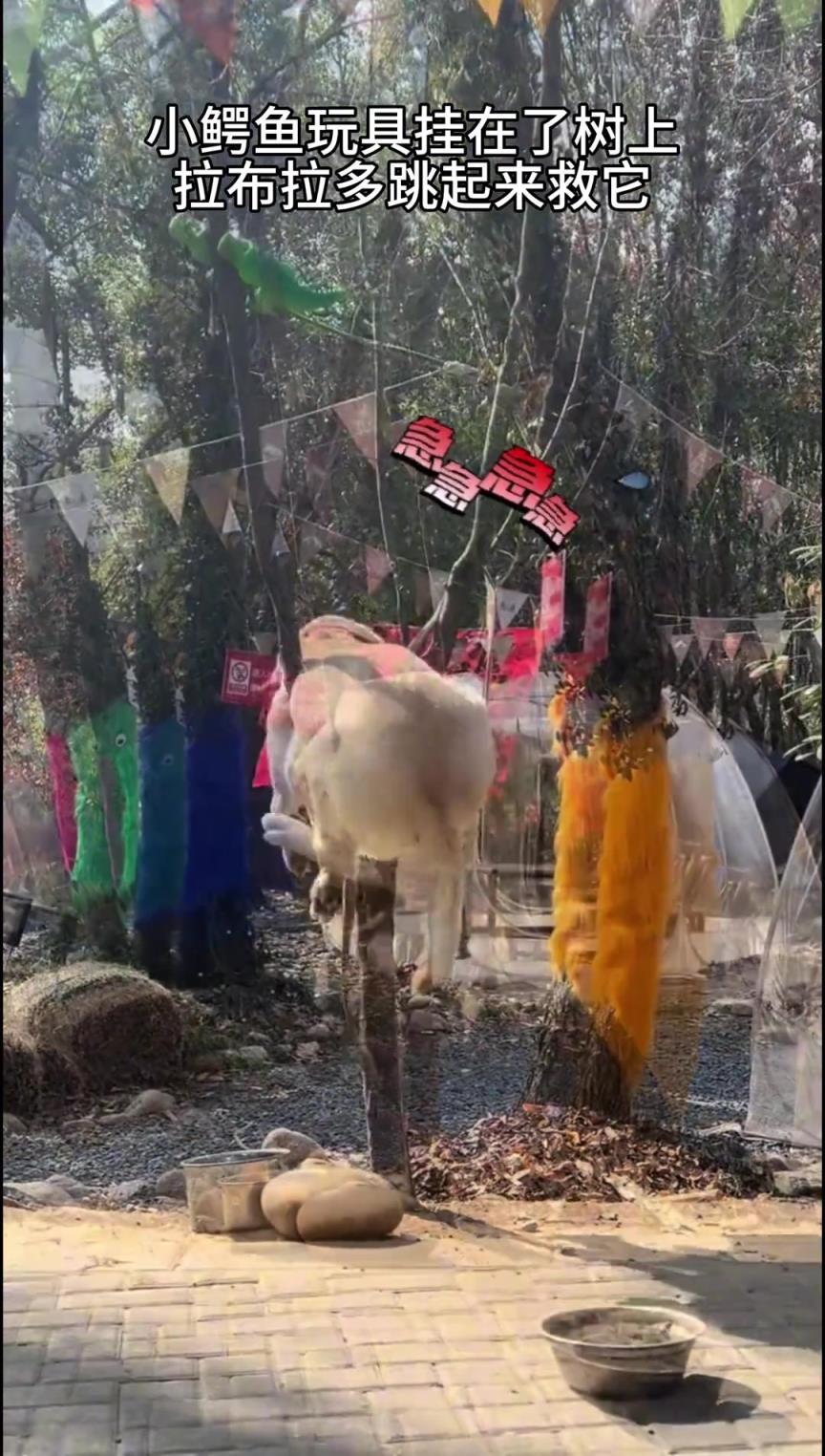 就掛這吧，省得亂跑