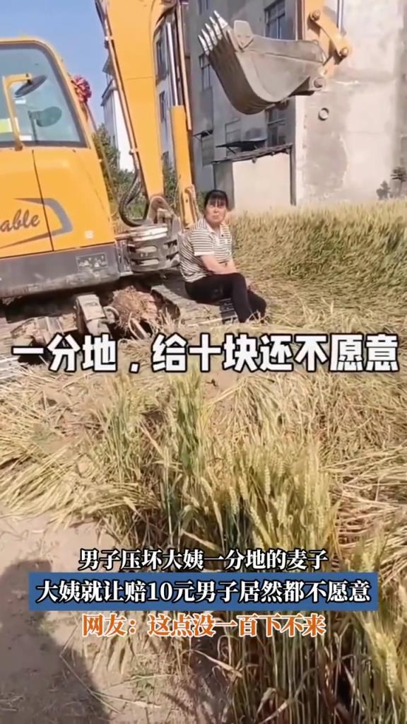 男子壓壞大姨一分地的麥子,大姨就讓賠10元男子居然都不愿意!