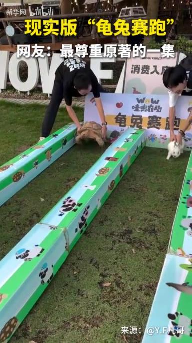兔子：老祖宗的规矩不能破