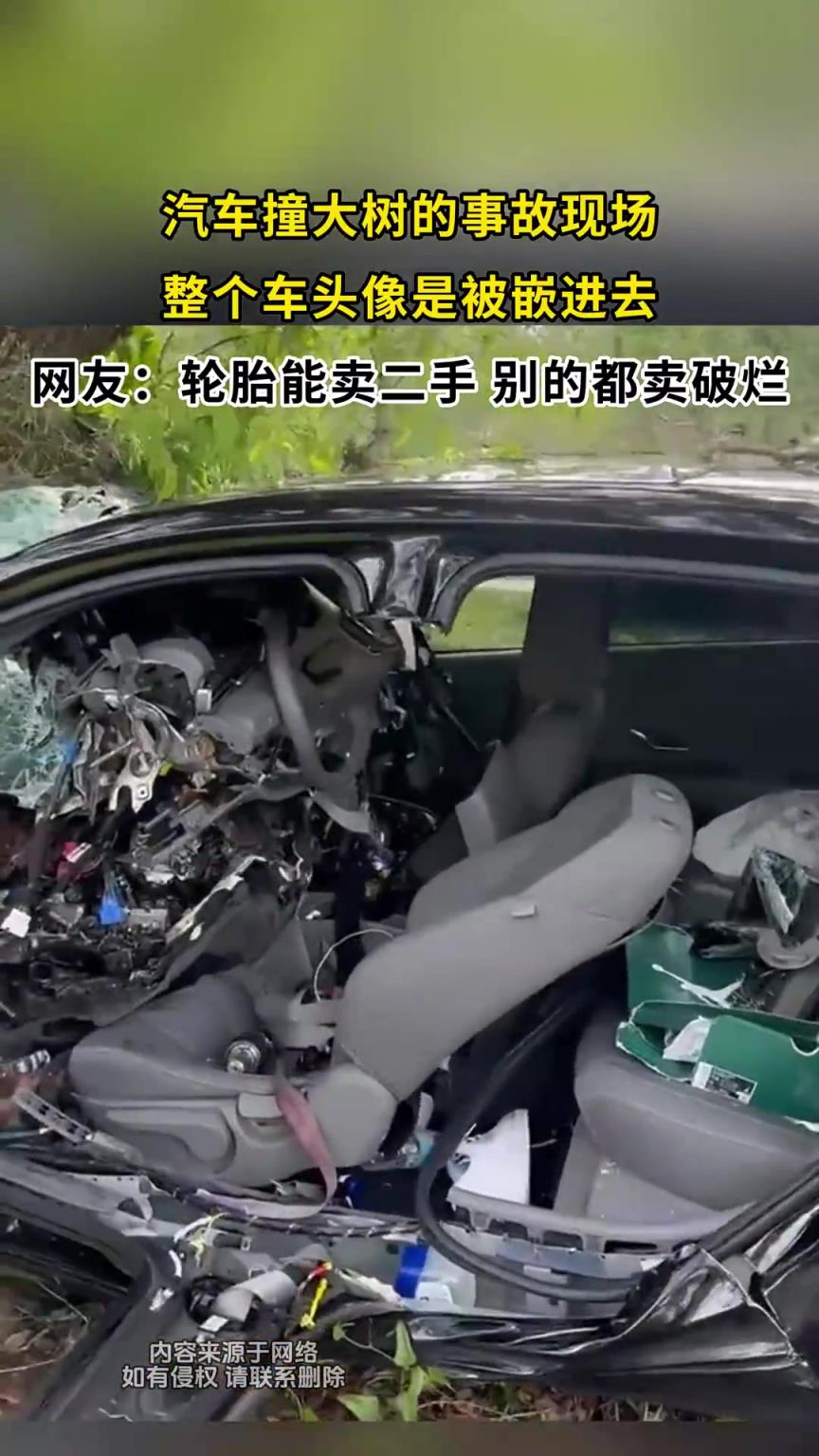 汽车撞大树的事故现场，整个车头像是被嵌进去！！