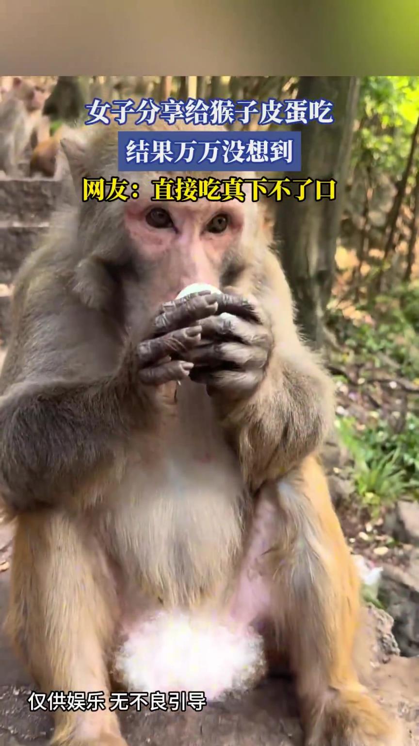 女子分享給猴子皮蛋吃，結(jié)果萬(wàn)萬(wàn)沒(méi)想到，網(wǎng)友：直接吃真下不了口