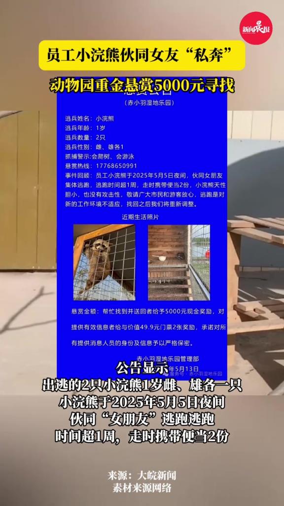 江蘇一樂(lè)園小浣熊出逃，當(dāng)?shù)兀簯屹p5000元緊急尋找