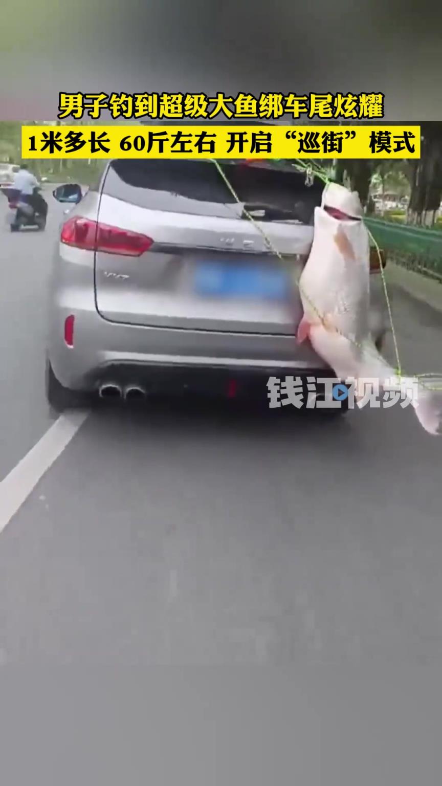 男子钓到超级大鱼绑车尾炫耀, 目击者：鱼至少一米长