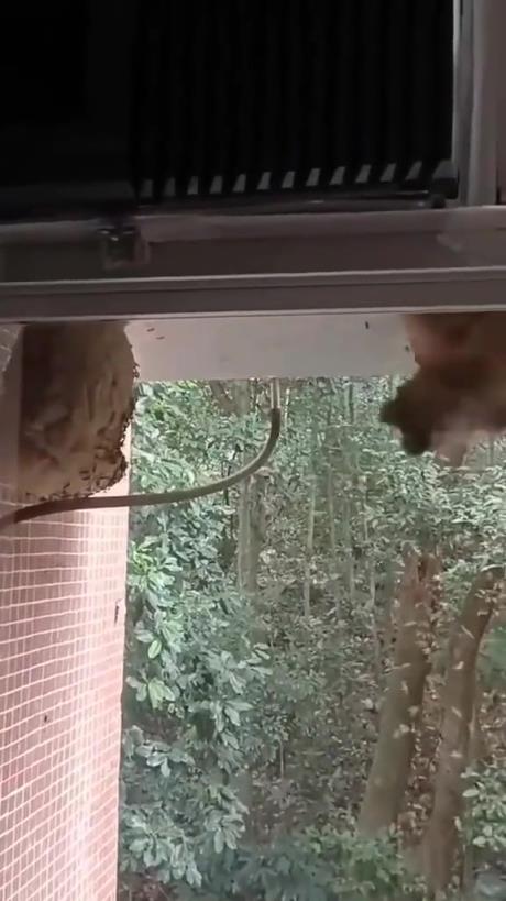 猴哥是真的猛啊?。?！