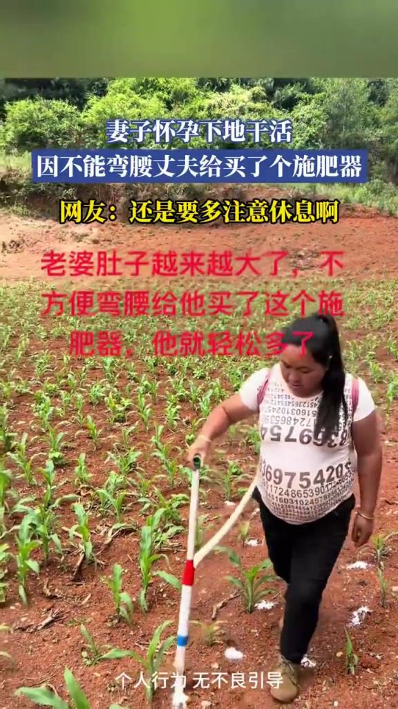 丈夫貼心購置施肥器，助力懷孕妻子輕松務農(nóng)