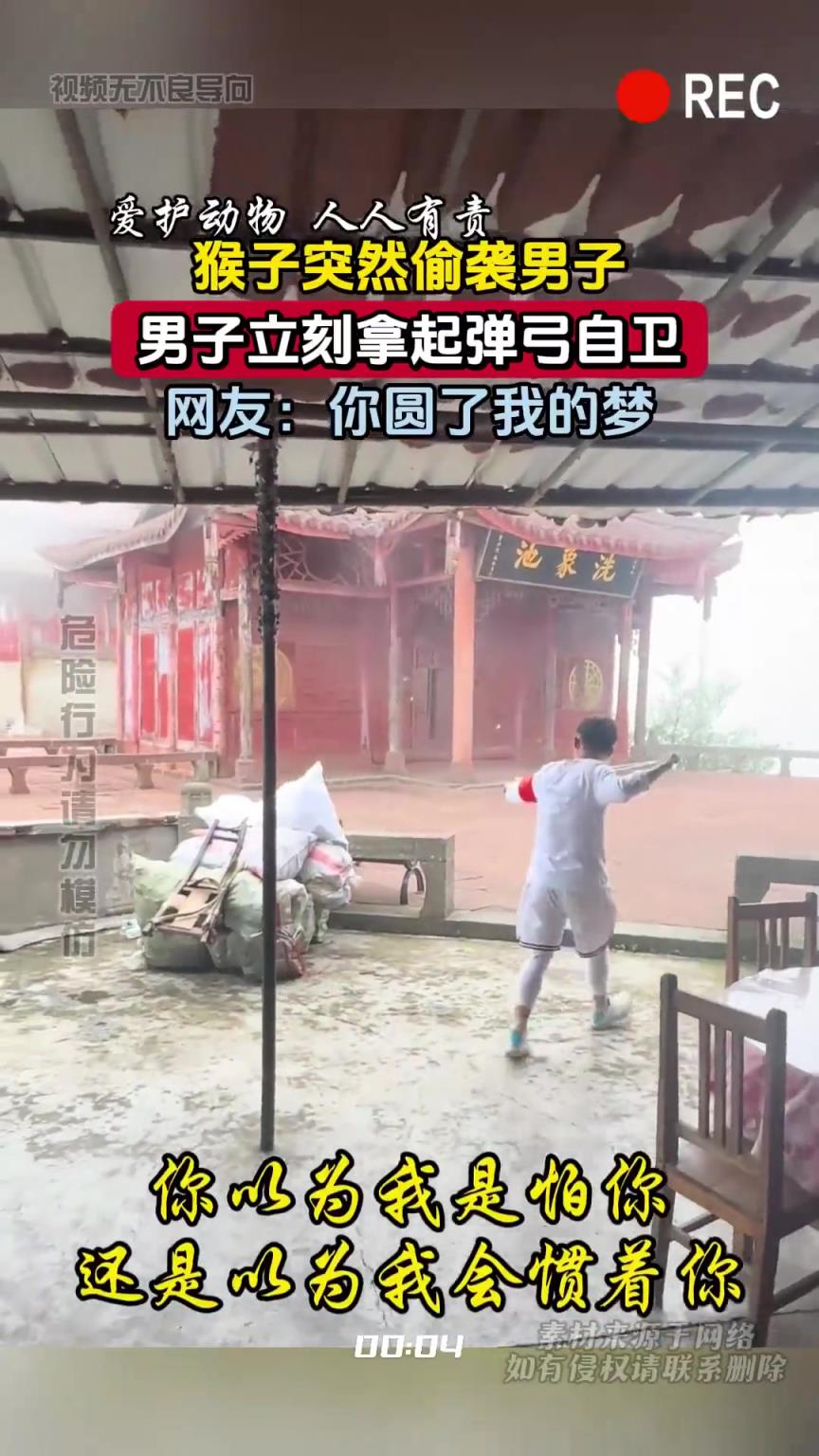 猴子突然偷袭男子，男子立刻拿起弹弓自卫，网友：你圆了我的梦