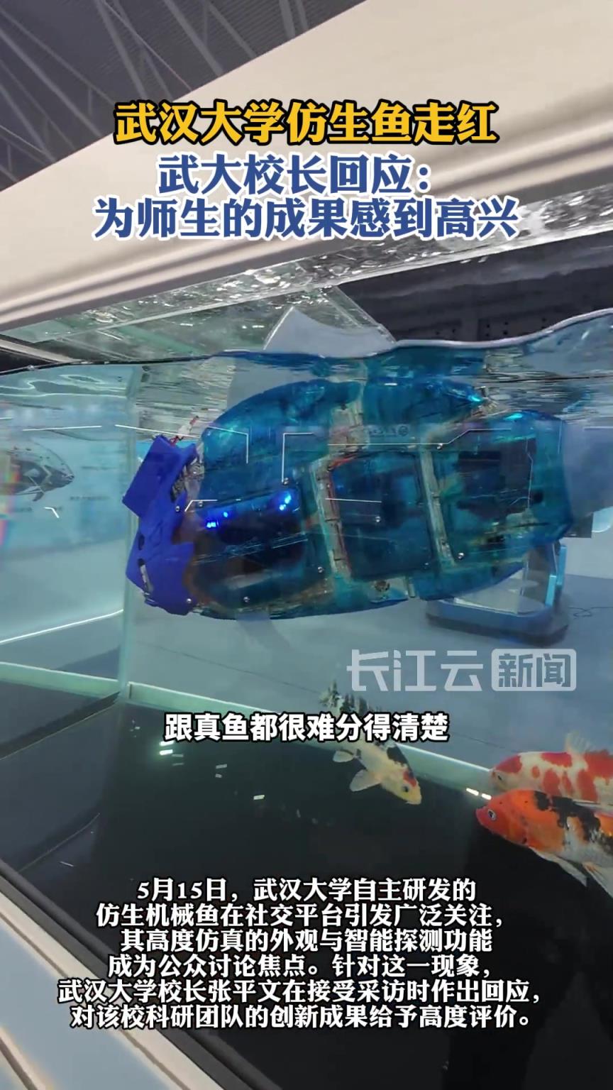 武大仿生鱼“游”红网络 校长回应：为师生骄傲！