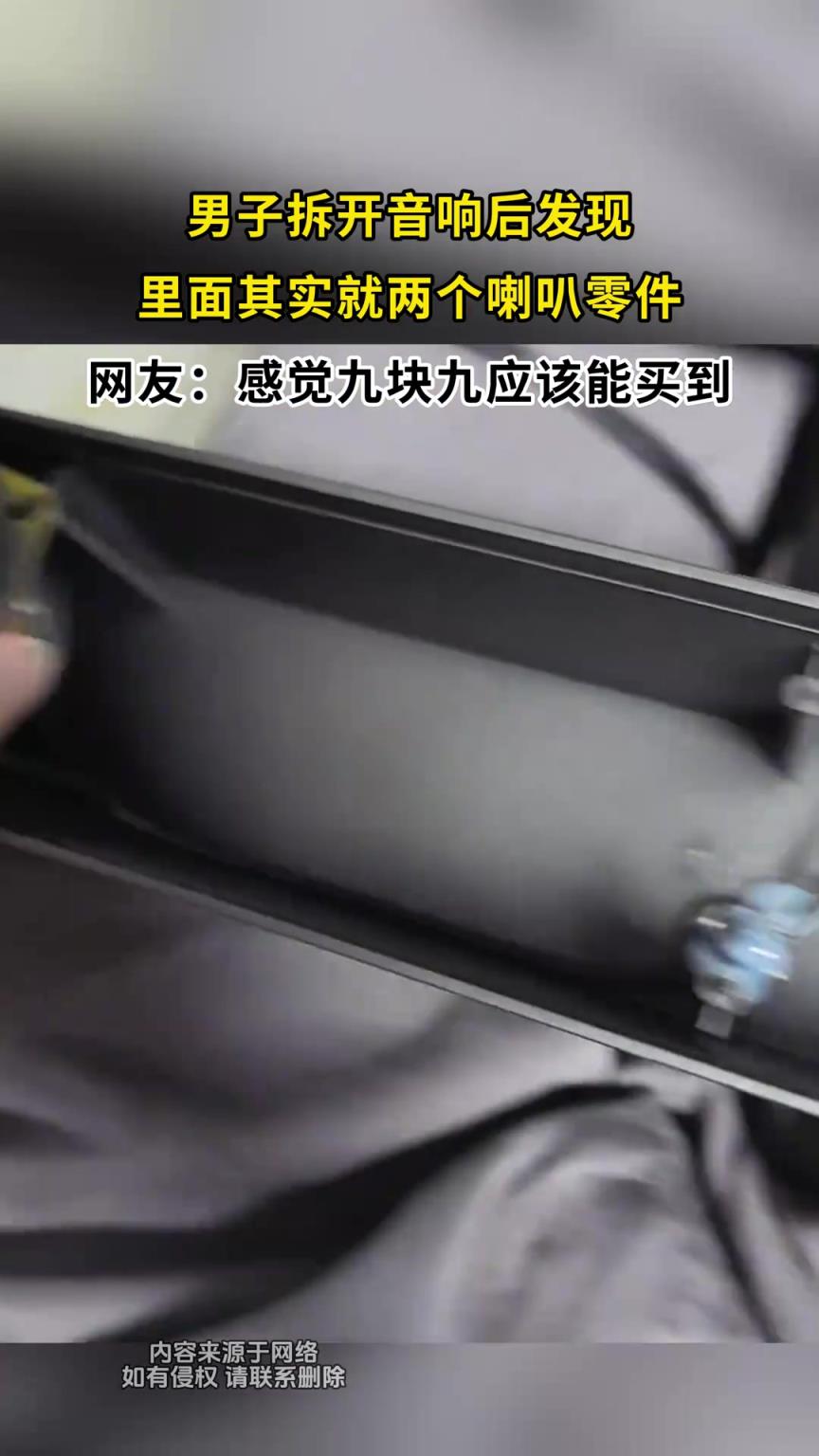 男子拆开音响后发现，里面其实就两个喇叭零件