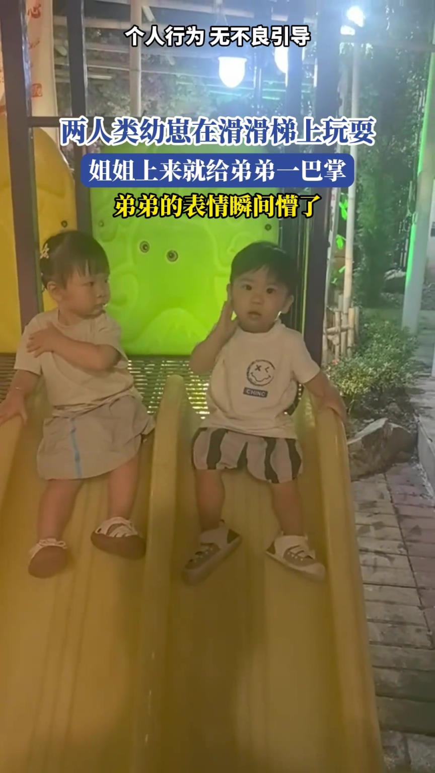 人类幼崽在滑滑梯上玩耍，姐姐上来就给弟弟一巴掌，弟弟瞬间懵了