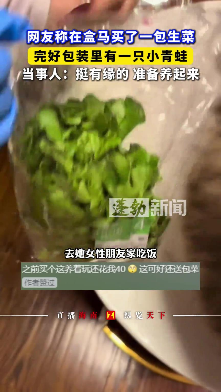 網(wǎng)友稱(chēng)在盒馬買(mǎi)了一包生菜，完好包裝里有一只小青蛙